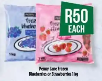Food Lover's Market Penny Lane Frozen Bleuberries or Strawberries 1kg offer