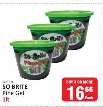 KitKat Cash and Carry So brite pine gel offer