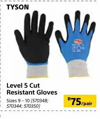 Builders Warehouse Level 5 cut resistant gloves offer