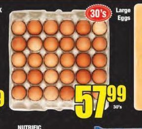 Boxer Large eggs offer