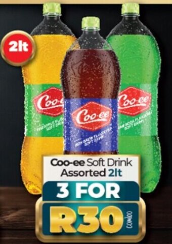 Take 'n Pay Coo-ee Soft Drink Assorted 2lt offer