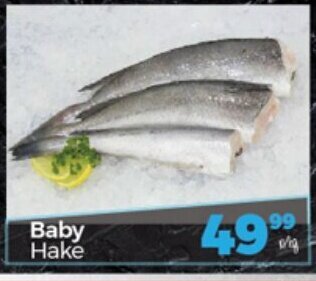 Baby Hake