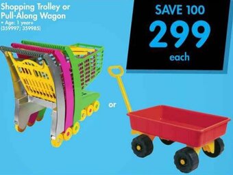 Makro Shopping Trolley or Pull-Along Wagon offer