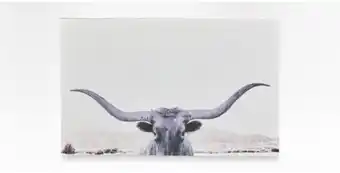 Bull framed art