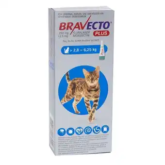 Takealot Bravecto plus for medium cats 2.8 - 6.25kg offer