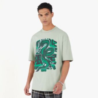 Men's sage 'dragon' graphic t-shirt