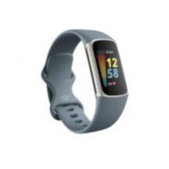 HiFi Corp Fitbit charge 5 steel blue platinum offer