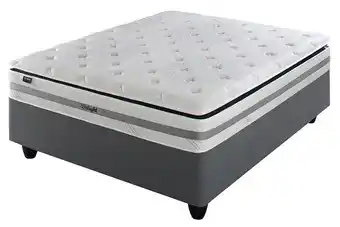 Beares Henwood delight - 152cm offer