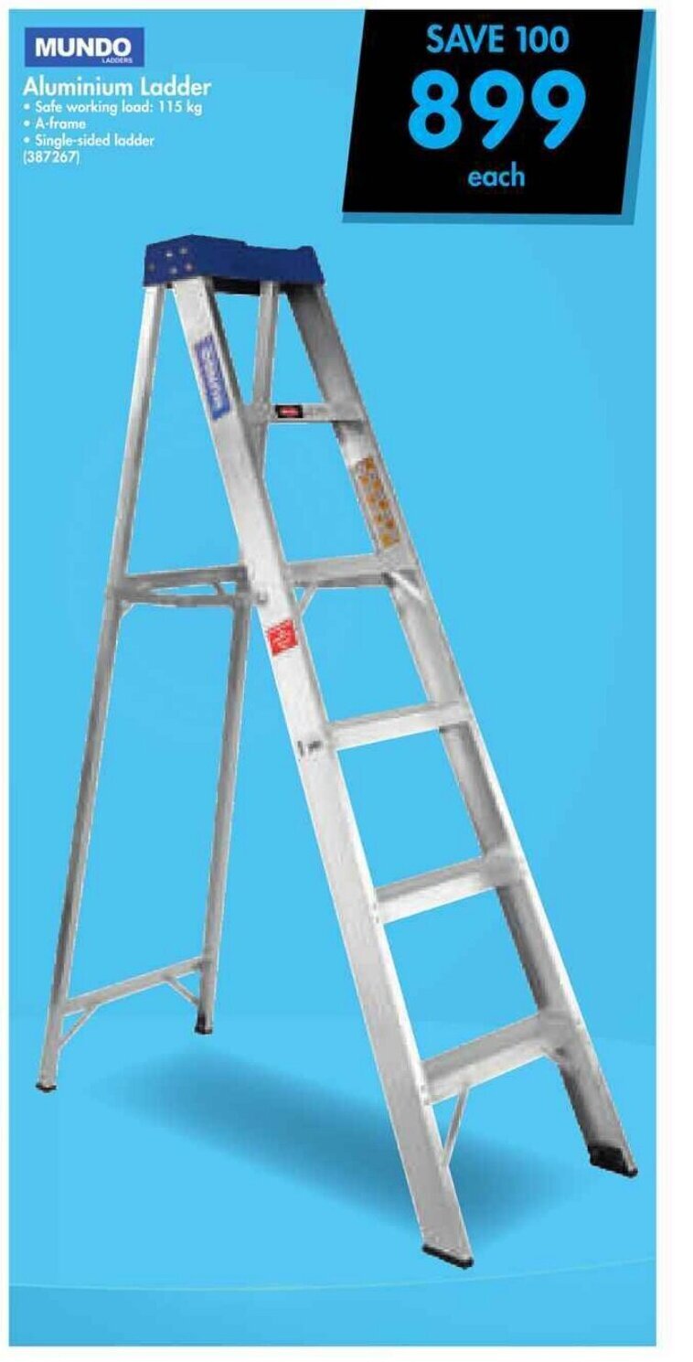 Mundo Aluminium Ladder offer at Makro