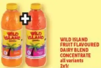 Usave Wild Island Fruit Dairy Blend Concentrate All Variants 2 x 1L offer