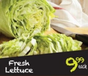 Take 'n Pay Fresh Lettuce offer