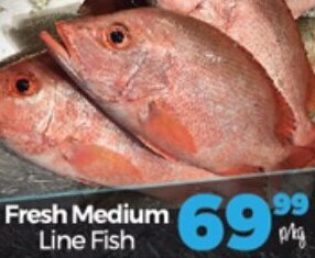 Take 'n Pay Fresh Medium Line Fish offer