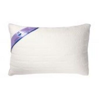 HiFi Corp Sealy my comfort memory pillow standard offer