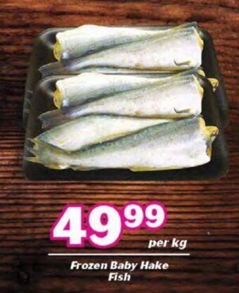 Frozen Baby Hake Fish