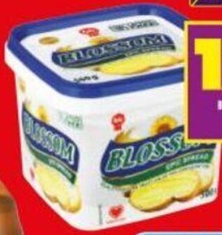 Shoprite Blossom Lite Fat Spread 500g offer