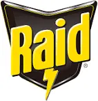 Raid