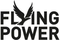Flying power logo
