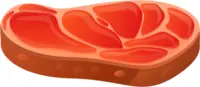 Carne