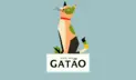 Gatão
