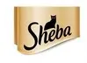 Sheba