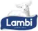 Lambi