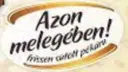 Azon Melegében