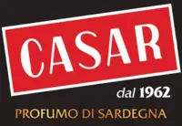 Casar logo