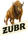 Żubr
