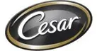 Cesar