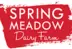Spring meadow