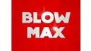 Blow Max logo