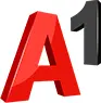 A1