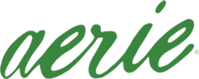 Aerie flyers