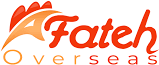 Fateh Grocery Depotflyers