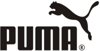Puma flyers