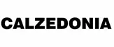 Calzedonia logo