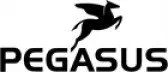 Pegasus prospekte