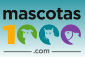 Mascotas1000 folletos