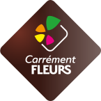Carrément Fleurs catalogues