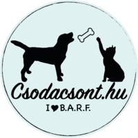 Csodacsont katalógusok