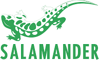 Salamander katalógusok