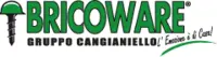 Bricoware logo