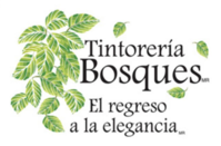 Tintorería Bosques catálogos