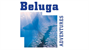 Beluga Adventures folders