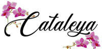 Cataleya gazetki